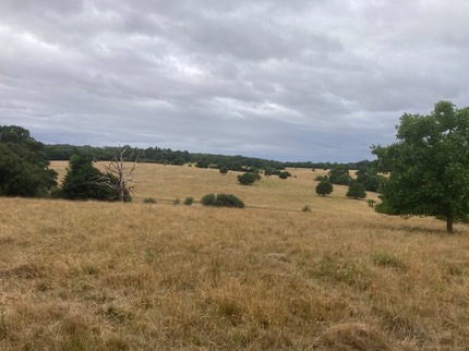 IckworthHouse 2025-07-E Large