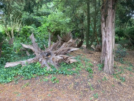 IckworthHouse 2025-07-G Large