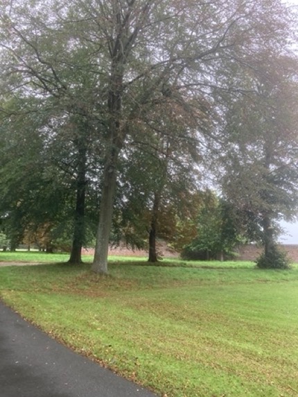 Meols Hall-2