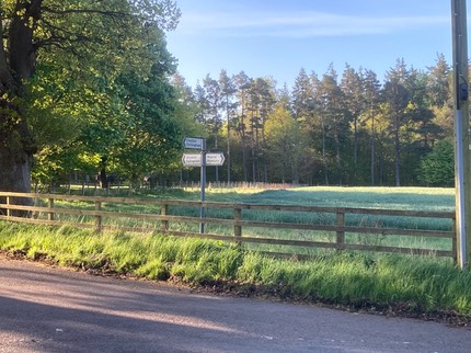 SunriseNearWooler signpost